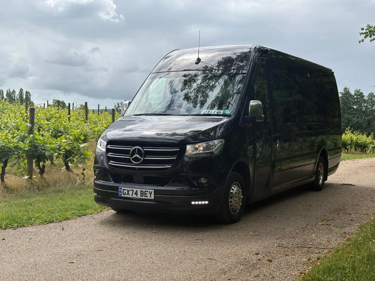minibuses